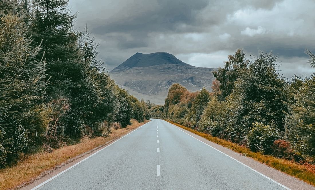 road near forest and mountain